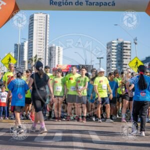 MINERA - Foto 154