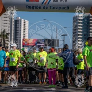 MINERA - Foto 185