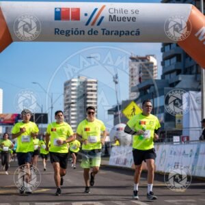 MINERA - Foto 528