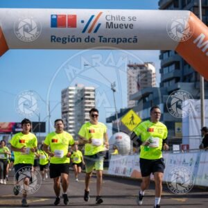 MINERA - Foto 529