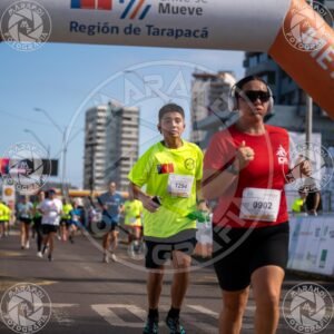 MINERA - Foto 552