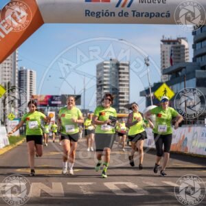 MINERA - Foto 595