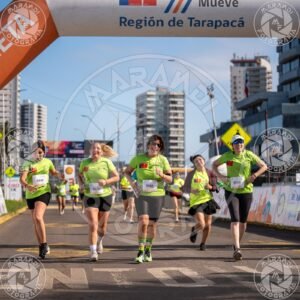 MINERA - Foto 596
