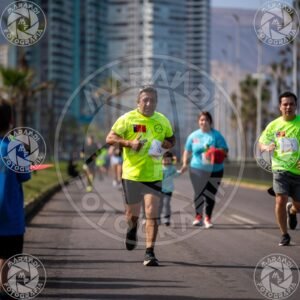 MINERA - Foto 814